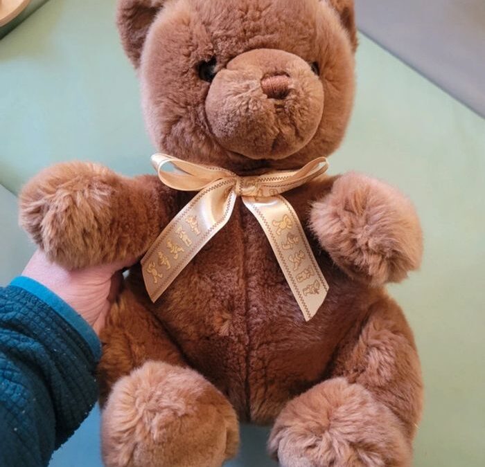 Orsetti di Natale per Bambini: Consigli e Selezioni Magiche